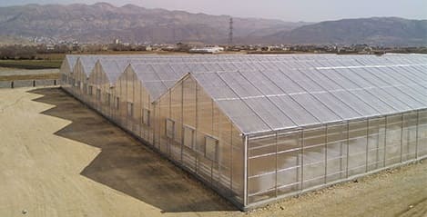 اجرای گلخانه با پلی کربنات